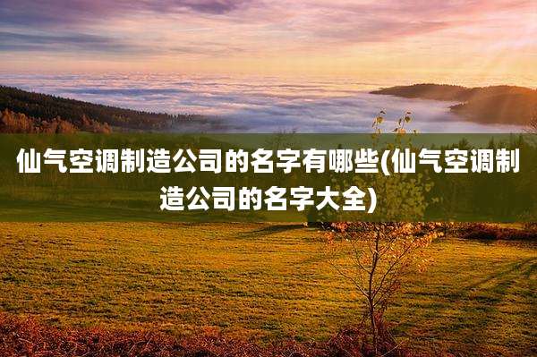 仙气空调制造公司的名字有哪些(仙气空调制造公司的名字大全)