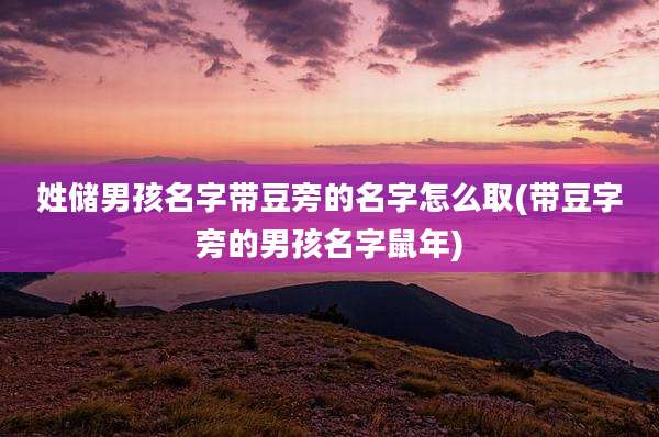 姓储男孩名字带豆旁的名字怎么取(带豆字旁的男孩名字鼠年)