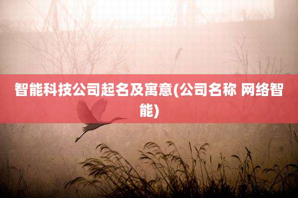 智能科技公司起名及寓意(公司名称 网络智能)
