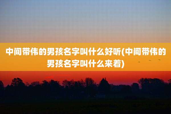 中间带伟的男孩名字叫什么好听(中间带伟的男孩名字叫什么来着)