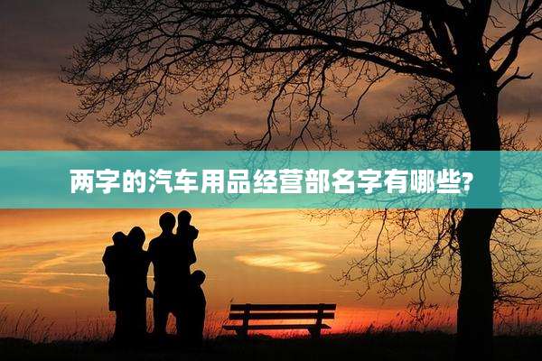 两字的汽车用品经营部名字有哪些?