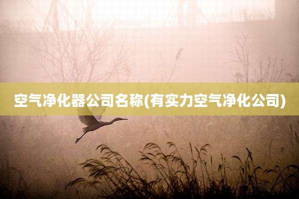 空气净化器公司名称(有实力空气净化公司)