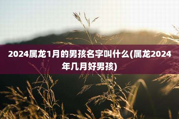 2024属龙1月的男孩名字叫什么(属龙2024年几月好男孩)