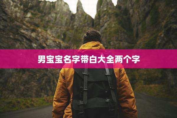 男宝宝名字带白大全两个字