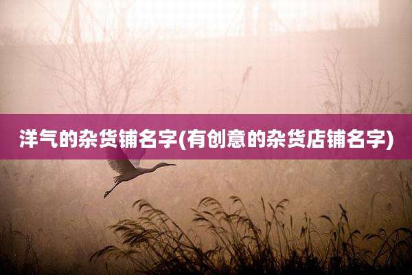 洋气的杂货铺名字(有创意的杂货店铺名字)
