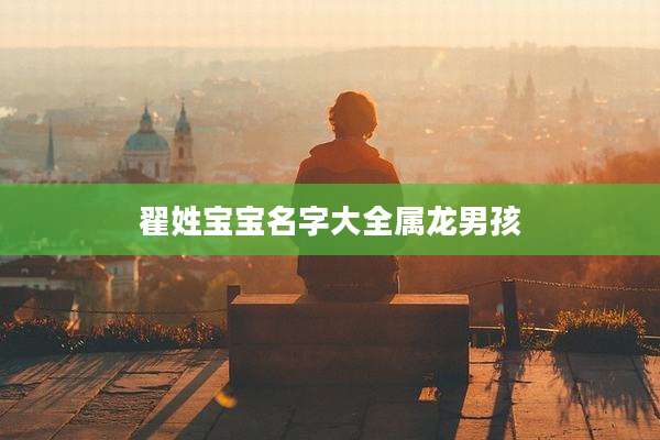 翟姓宝宝名字大全属龙男孩