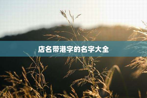 店名带港字的名字大全