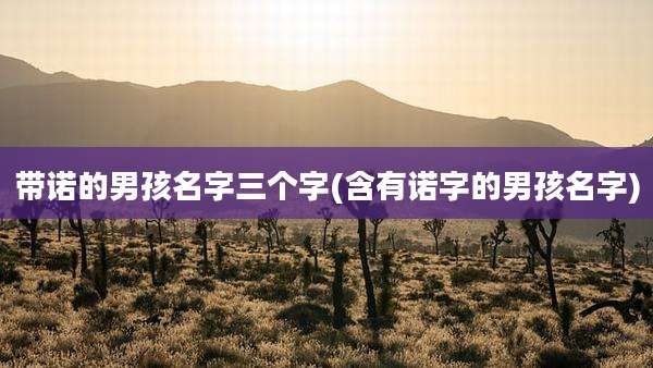带诺的男孩名字三个字(含有诺字的男孩名字)