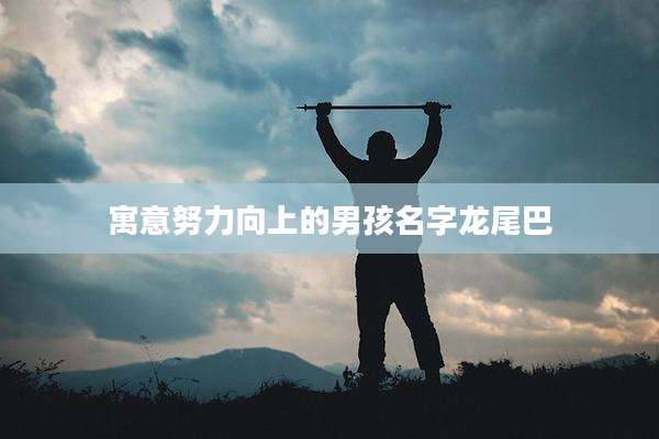 寓意努力向上的男孩名字龙尾巴