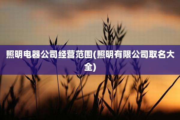 照明电器公司经营范围(照明有限公司取名大全)