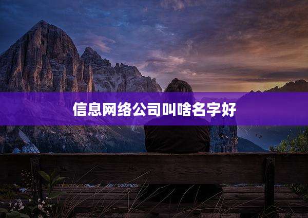 信息网络公司叫啥名字好