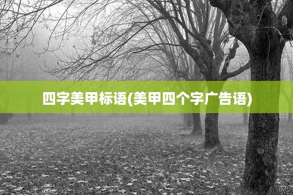 四字美甲标语(美甲四个字广告语)