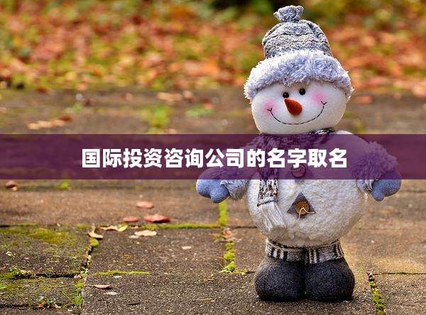 国际投资咨询公司的名字取名