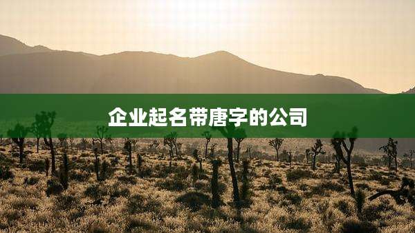 企业起名带唐字的公司
