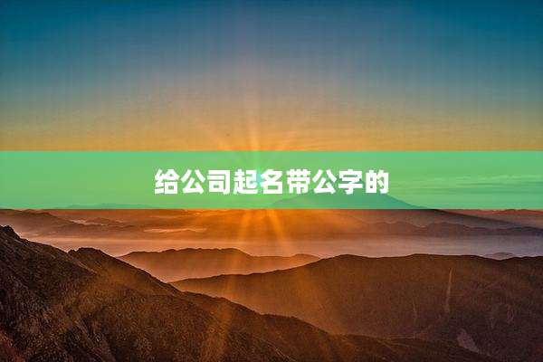 给公司起名带公字的