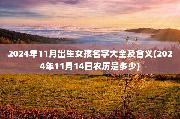 2024年11月出生女孩名字大全及含义(2024年11月14日农历是多少)