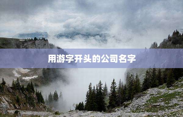 用游字开头的公司名字