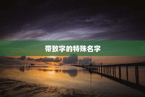 带致字的特殊名字