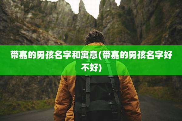 带嘉的男孩名字和寓意(带嘉的男孩名字好不好)
