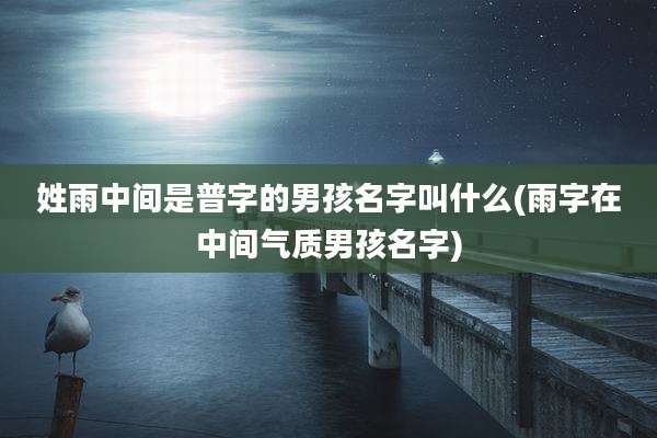 姓雨中间是普字的男孩名字叫什么(雨字在中间气质男孩名字)
