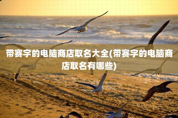 带赛字的电脑商店取名大全(带赛字的电脑商店取名有哪些)