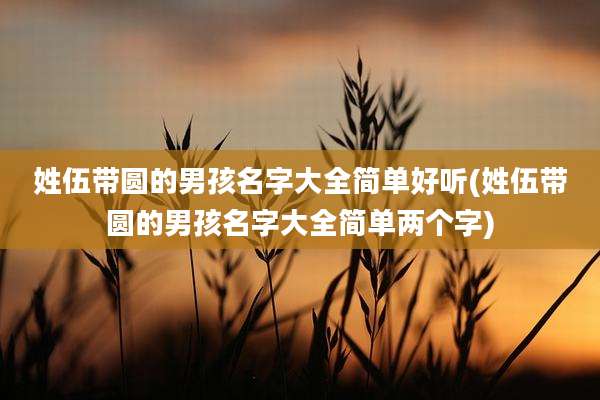 姓伍带圆的男孩名字大全简单好听(姓伍带圆的男孩名字大全简单两个字)
