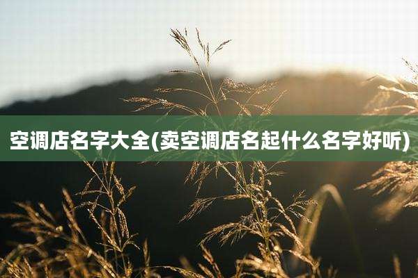 空调店名字大全(卖空调店名起什么名字好听)