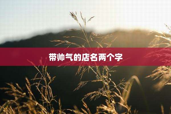 带帅气的店名两个字