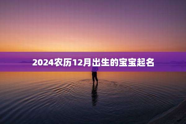 2024农历12月出生的宝宝起名