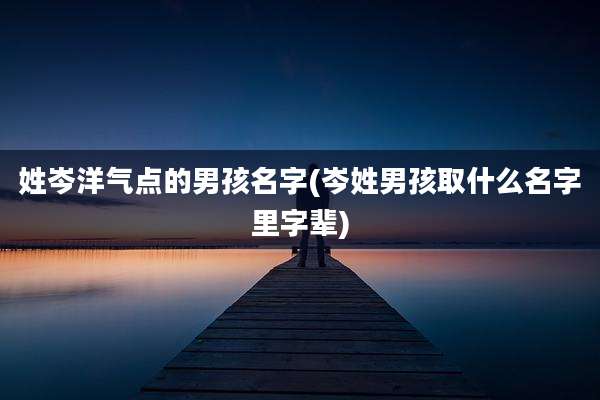 姓岑洋气点的男孩名字(岑姓男孩取什么名字里字辈)