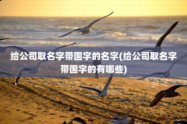 给公司取名字带国字的名字(给公司取名字带国字的有哪些)