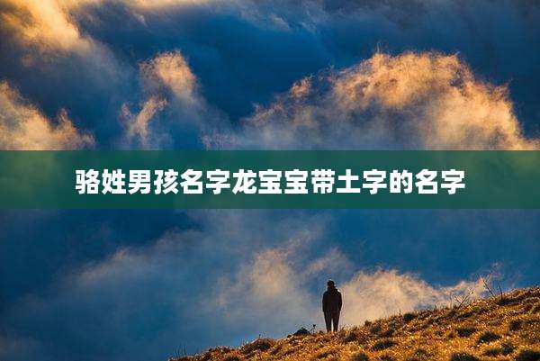 骆姓男孩名字龙宝宝带土字的名字