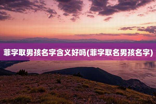 菲字取男孩名字含义好吗(菲字取名男孩名字)