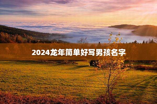 2024龙年简单好写男孩名字