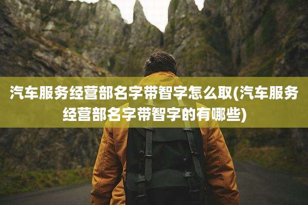 汽车服务经营部名字带智字怎么取(汽车服务经营部名字带智字的有哪些)