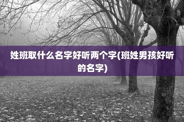 姓班取什么名字好听两个字(班姓男孩好听的名字)