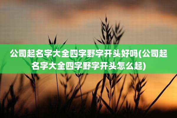 公司起名字大全四字野字开头好吗(公司起名字大全四字野字开头怎么起)