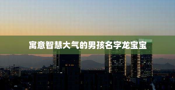 寓意智慧大气的男孩名字龙宝宝