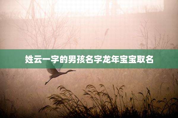 姓云一字的男孩名字龙年宝宝取名