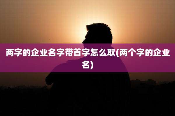 两字的企业名字带首字怎么取(两个字的企业名)