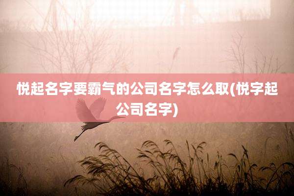 悦起名字要霸气的公司名字怎么取(悦字起公司名字)