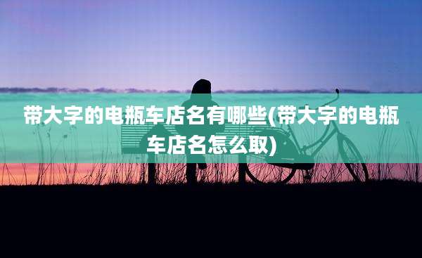 带大字的电瓶车店名有哪些(带大字的电瓶车店名怎么取)