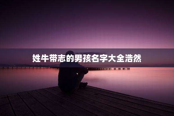 姓牛带志的男孩名字大全浩然