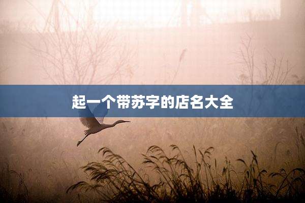 起一个带苏字的店名大全