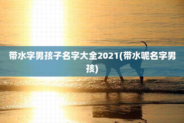 带水字男孩子名字大全2021(带水呢名字男孩)
