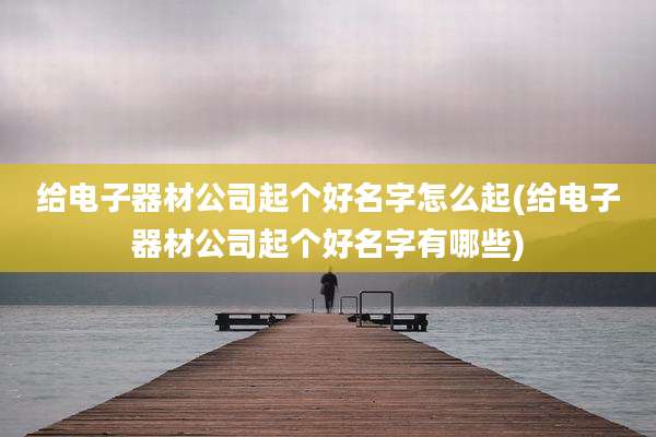 给电子器材公司起个好名字怎么起(给电子器材公司起个好名字有哪些)