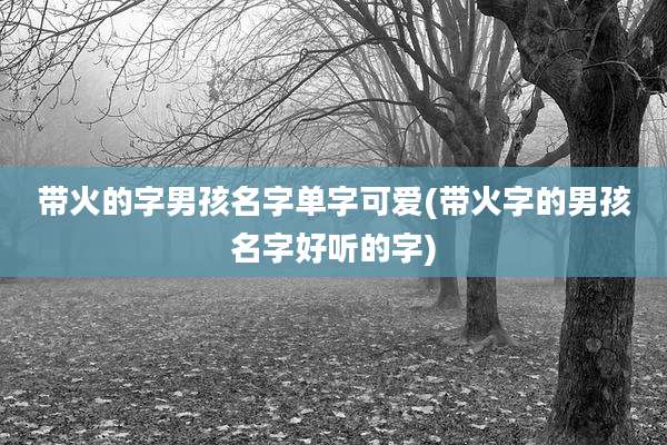 带火的字男孩名字单字可爱(带火字的男孩名字好听的字)