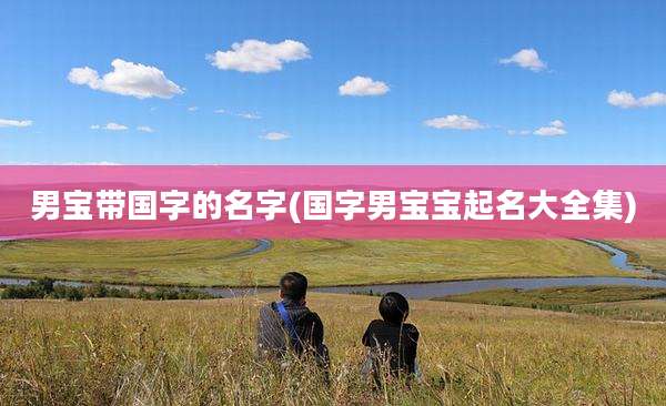 男宝带国字的名字(国字男宝宝起名大全集)