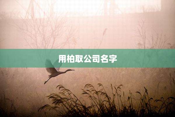 用柏取公司名字
