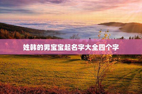 姓韩的男宝宝起名字大全四个字